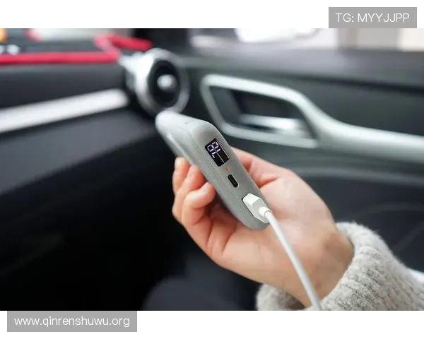 掌握斗球苹果下载安装技巧，轻松应对各种设备兼容与安装难题