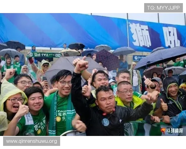 斗球直播电脑版下载安装指南，详细步骤帮助你快速开启精彩足球直播