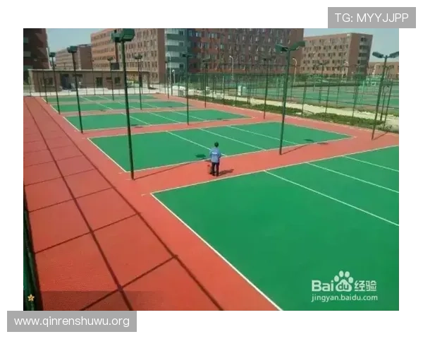 斗球网：最新款斗球网设计与材质分析助你打造完美比赛场地