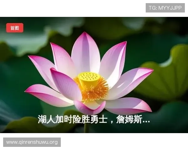 斗球app苹果版最新版本更新内容详解及优化体验的实用技巧推荐